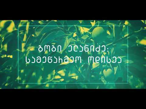 გოგი ელანიძე - სამეწარმეო ოდისეა